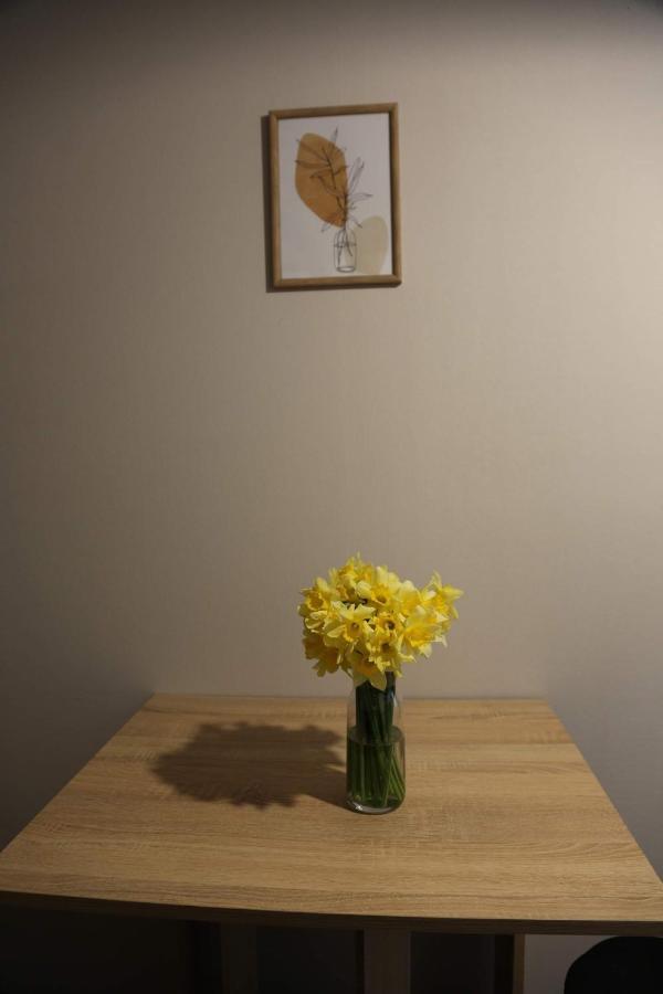 Griboedov Apartment ティビリシ エクステリア 写真